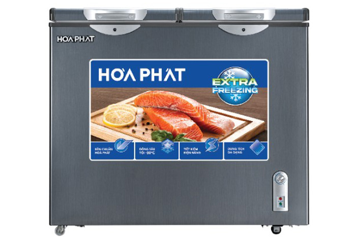 Tủ đông Hòa Phát 205 lít HPF BD6205G